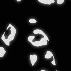 Stickers Réfléchissants Léopard - Bookman -France Accessoires vélo Soldes 2023 stickers reflechissants leopard bookman 3