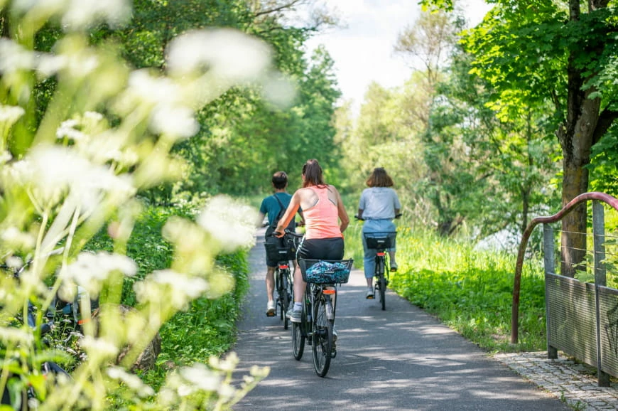 France Accessoires vélo Soldes 2023 -France Accessoires vélo Soldes 2023 location vae ot 21clescarnetsdemoselleest sarregueminestourisme 321 scaled 870x0 1